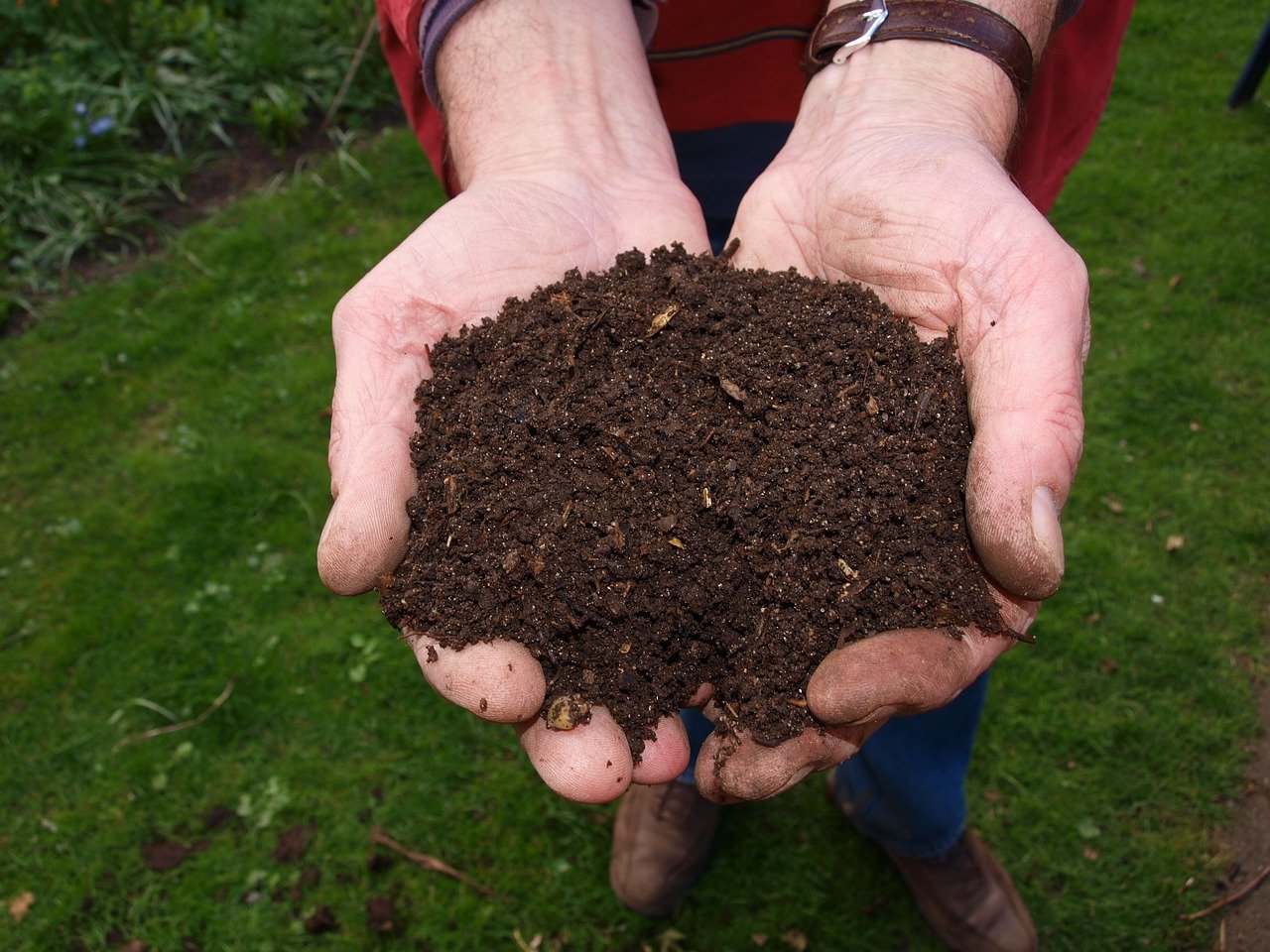 fresh, compost, hand-2386786.jpg